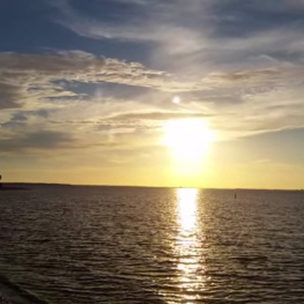 bola cahaya di florida
