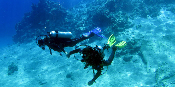 Menyelami indahnya kehidupan bawah laut di resor Sharm el-Sheikh