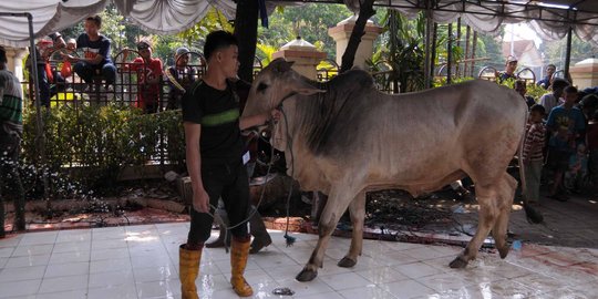 Jaga stok daging di Jakarta, Ahok teken MoU dengan Mentan Amran