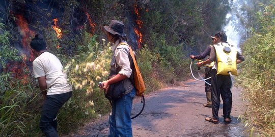 Sekitar 550 hektare hutan TNBTS terbakar saat kemarau