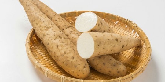 tanpa oplas, konsumsi 5 makanan ini bikin payudara tambah montok