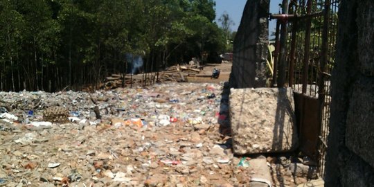 Lahan mangrove di Badung tak terawat dan penuh sampah