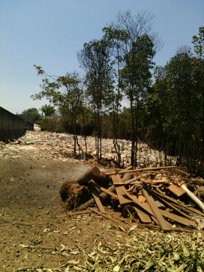 mangrove di kabupaten badung rusak