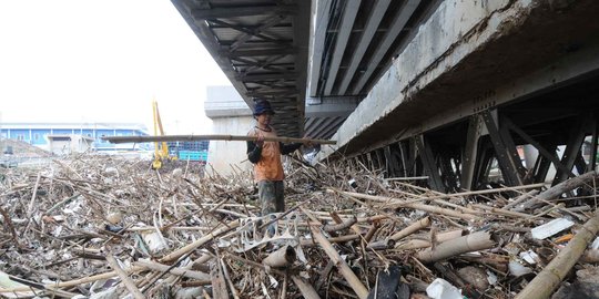 Begini kondisi sungai di Jakarta dipenuhi sampah kiriman Bogor