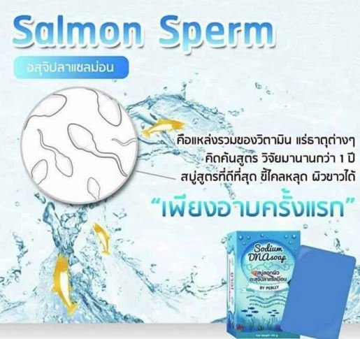 sabun pemutih dari sperma salmon