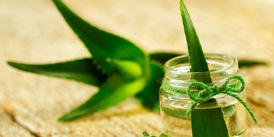 5 bahan alami ini bikin kulit bergaris mulus kembali