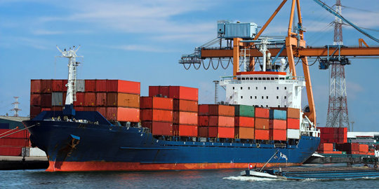 Menko Darmin ngaku kewalahan genjot kinerja ekspor