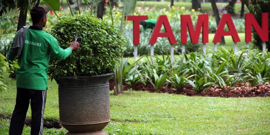 Disemprot Ahok soal pemborosan anggaran, ini kata Kadis Taman DKI