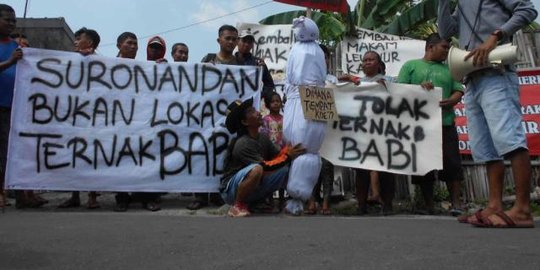 Warga ancam tutup peternakan babi karena bau dan serobot makam