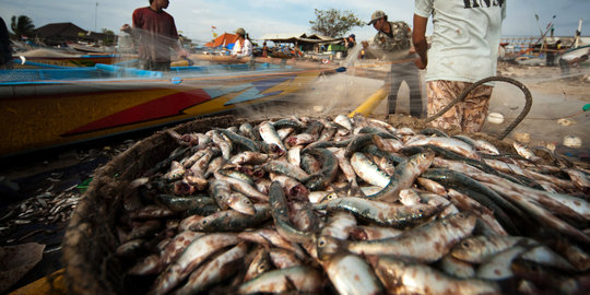 Pemerintah manfaatkan kapal Minajaya tampung hasil pencurian ikan