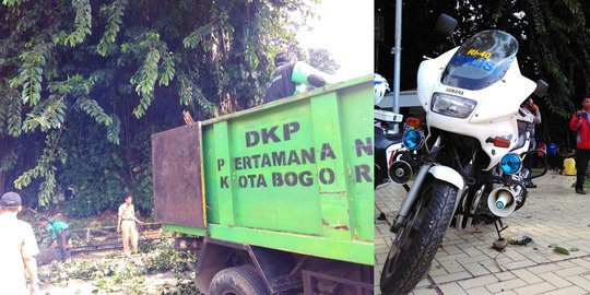 3 Moge Patwal ringsek tertimpa pohon di Bogor saat rapat kabinet
