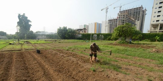 Kisah petani di Ibu Kota terhimpit gedung pencakar langit