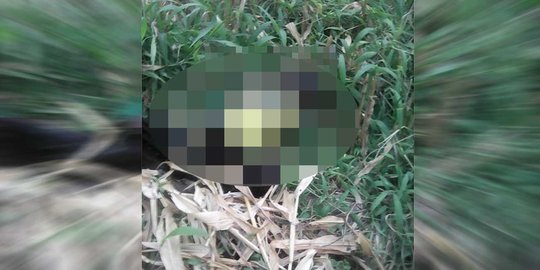 Sering tenggak miras, Bambang ditemukan tewas di kebun jagung