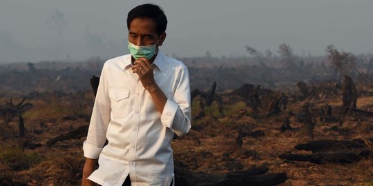 Jokowi mau Indonesia kembali berjaya sebagai paru-paru dunia