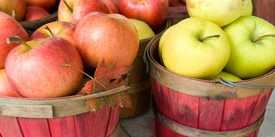 11 Alasan kenapa kamu harus mengonsumsi apel