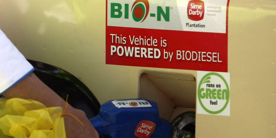 DEN: Dunia cap Indonesia arabnya biofuel