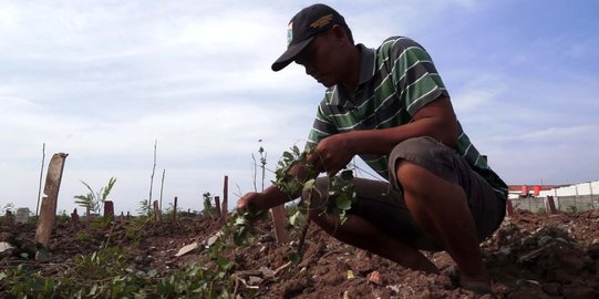 Nasib tunawan setelah pindah alam