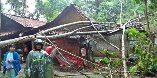 Angin kencang, pohon timpa rumah di Banyumas