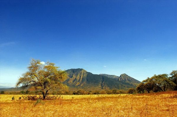 taman nasional baluran