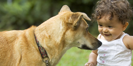Pelihara anjing ternyata dapat membantu perkembangan seorang anak