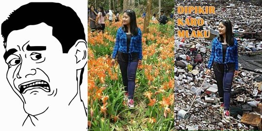 Meme-meme konyol sindir alayers rusak taman bunga Amarillys