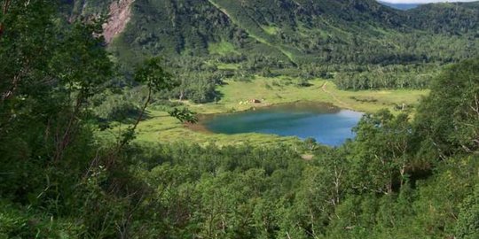 Ogah perang, tentara Rusia sembunyi di hutan lebih dari 10 tahun