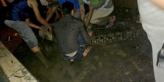 Banjir rendam kebun binatang Pematang Siantar, 18 buaya lepas