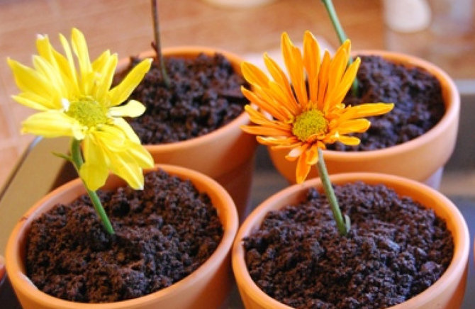 flower pot ice cream