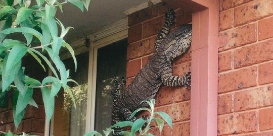 meter mampir ke teras rumah di australia rev1