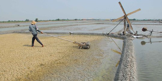 Harga anjlok Rp 200/kg, petani Cirebon timbun garam di pinggir jalan