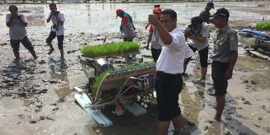 Kementan target 9 juta hektar lahan tertanam padi di awal 2016