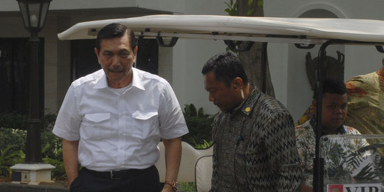 Menko Luhut soal Jokowi marah pada Setya: Pantaslah marah