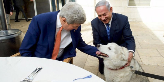Anjing kesayangan PM Netanyahu gigit dua pejabat Israel