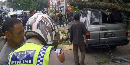 Seorang bocah terjebak di dalam mobil yang tertimpa pohon