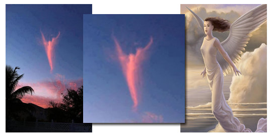 Empat kemunculan malaikat  di dunia nyata merdeka com