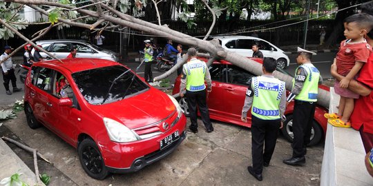 Angin kencang, pohon di HI tumbang dan timpa dua mobil