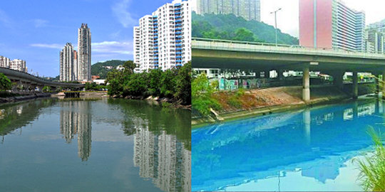 Tercemar parah, sungai Shing Mun berubah biru cerah