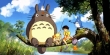 Hore! Studio Ghibli TOTORO dipastikan rilis film animasi baru