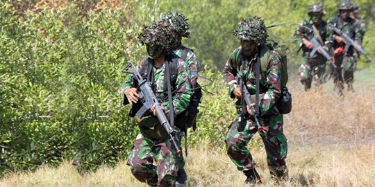 deretan senapan serbu tni dari bikinan as, rusia sampai indonesia