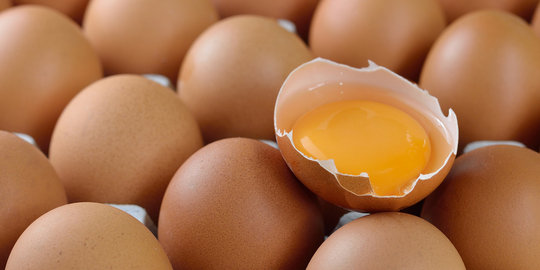 7 Hal yang terjadi dalam tubuh saat makan telur