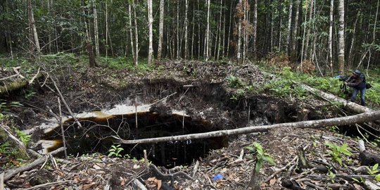 Jejak pertambangan liar yang ancam keanekaragaman hayati Amazon