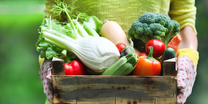 Sayur dari Sulsel langka dan mahal, produk Malaysia serbu Nunukan