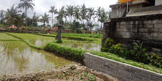 Petani sesalkan Jokowi beri konsesi lahan ke perusahaan swasta