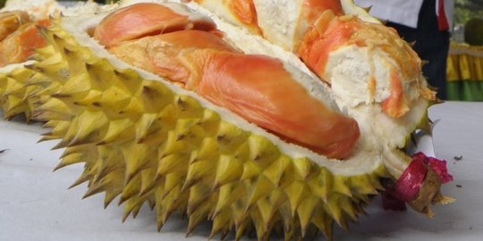 Ini cara pilih durian yang enak biar tak ditipu penjual