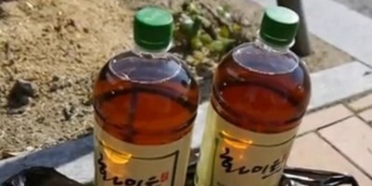 6 benda paling aneh yang pernah dijual dalam botol