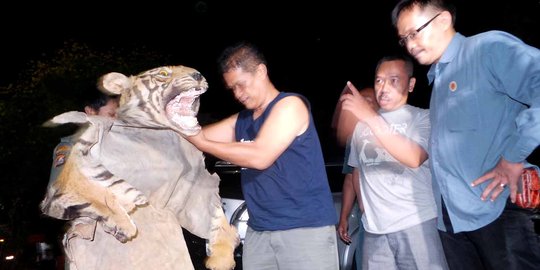 Bisnis ilegal jual kulit harimau dan buaya, SH diringkus polisi