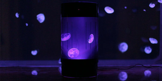 Jellyfish tank, perpaduan lampu malam dan peliharaan anti mainstream