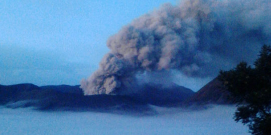 Mensos minta informasi kondisi erupsi Gunung Bromo harus jelas