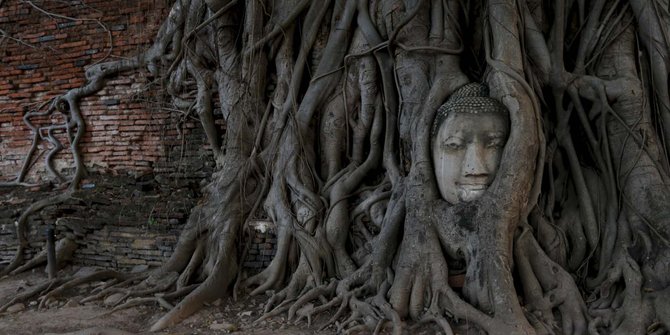 Fenomena kepala Buddha menyatu dengan pohon di Wat Mahathat