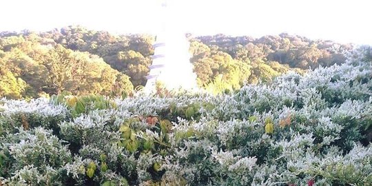 Cantiknya bukit Doi Inthanon di Thailand kala berselimut es